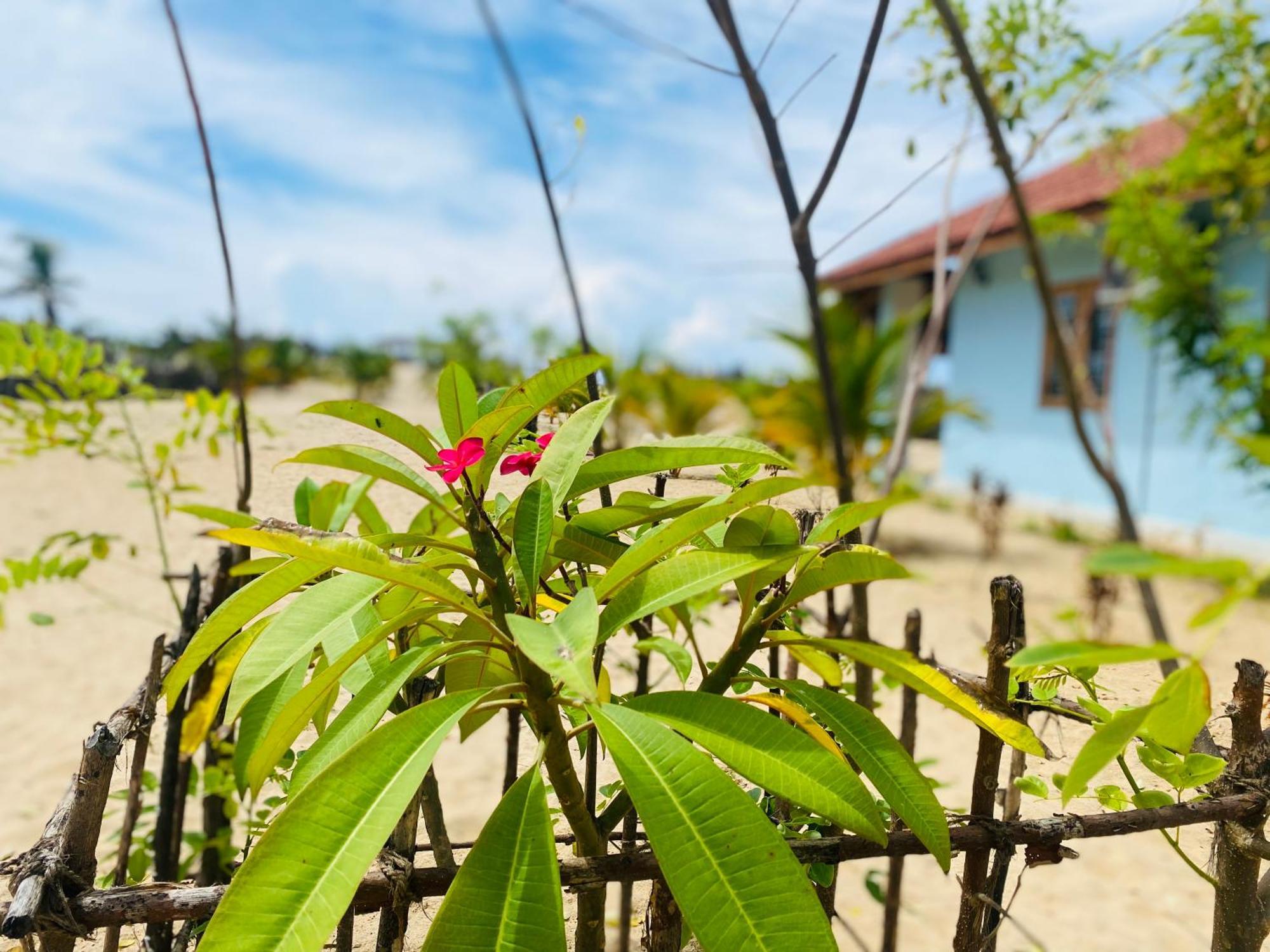 Oceano Beach Villa Arugam Bay Exterior photo